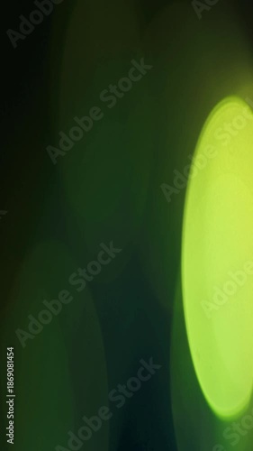 Light Leak Overlay adds dynamic warm glow for vertical portrait storytelling.