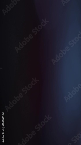 Light Leak Overlay delivers clean cinematic light for vertical professional edits.