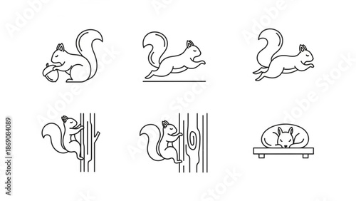 A set of six line drawings of squirrels in various poses and activities on white background with illustration and vector and animal and wildlife and cartoon with icon
