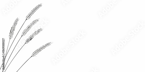 Minimalist illustration of wheat stalks against a plain white background