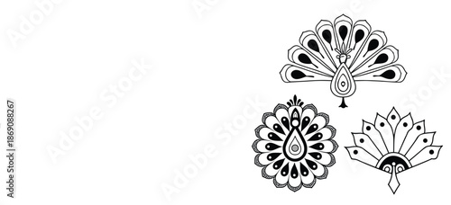Hand drawn black and white peacock feather vector art isolated on white background with floral ornament elements and nature leaf patterns for a decorative summer plant illustration design