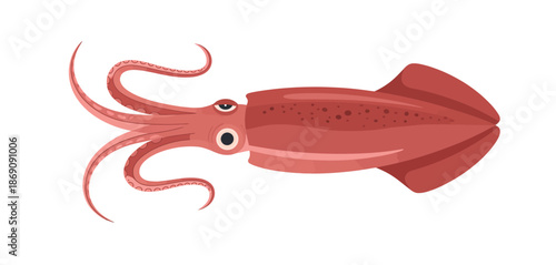 Red squid illustration with tentacles and large eyes