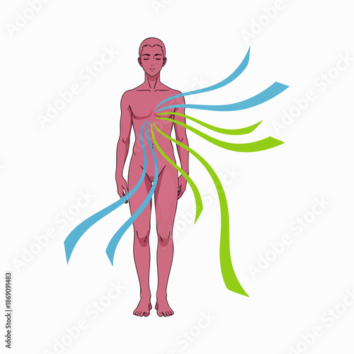 Abstract human body illustration with vibrant flowing energy lines, symbolizing spiritual balance, wellness, and internal harmony for health and meditation concepts.