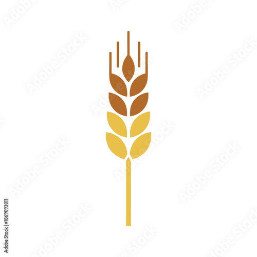 Golden wheat spike Vector