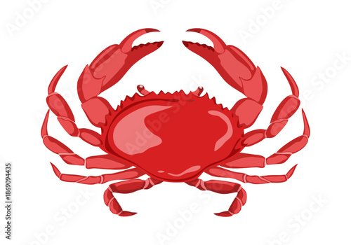Crab isolated on white background. crab vector on sand color background, perfect for wallpaper or design elements