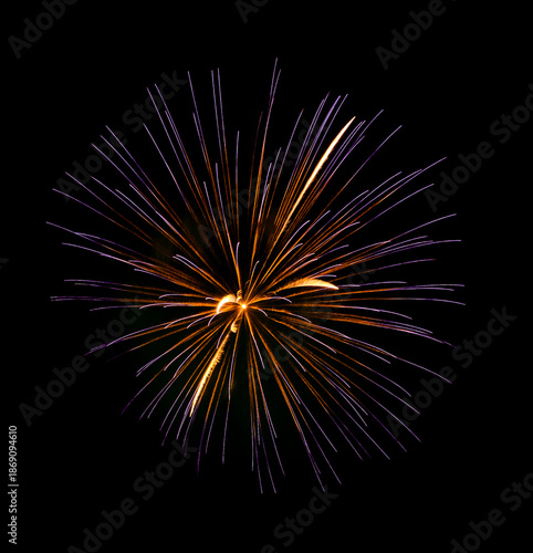 Colorful firework sparkling on black background for celebration and anniversary