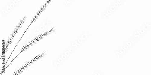 Delicate blades of grass presented against a stark minimalist white background