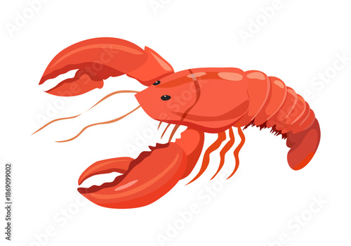 Lobster vector illustration, cartoon clipart, animal in flat style. Sea animals, underwater creatures, ocean animals, marine life concept. Lobster vector design isolated on white background