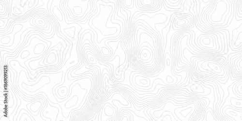 Contour abstract map relief land outline. Topographic map patterns. White wave paper curved reliefs abstract background. Background of the topography map. Abstract pattern with lines.