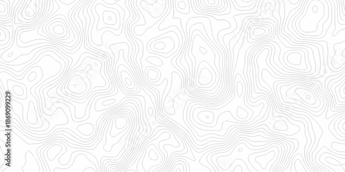 Contour abstract map relief land outline. Topographic map patterns. White wave paper curved reliefs abstract background. Background of the topography map. Abstract pattern with lines.