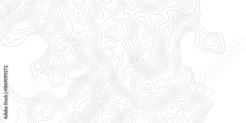 Contour abstract map relief land outline. Topographic map patterns. White wave paper curved reliefs abstract background. Background of the topography map. Abstract pattern with lines.