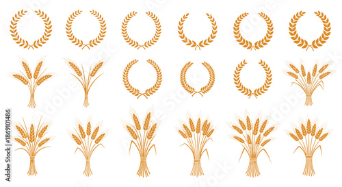 Wheat or barley ears. Harvest wheat grain, growth rice stalk and bread grains isolated vector set. Harvest wheat grain, growth rice stalk and whole bread grains. Agriculture. Transparent SVG version.