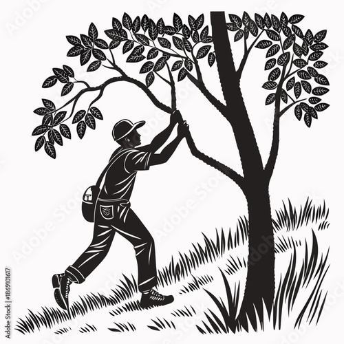 silhouette of a man with tree