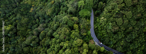 Фотография Sustainable mobility concept with EV driving on scenic forest highway