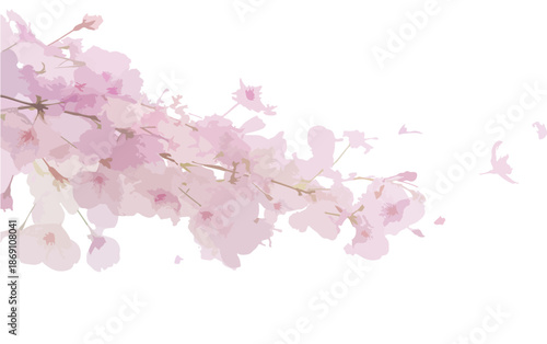 Delikatne, przezroczyste kwiaty wiśni w pastelowych odcieniach różu na białym tle, symbolizujące wiosenną świeżość i japońską elegancję.