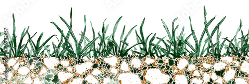 Ilustracja przezroczystego przekroju ziemi z zieloną trawą i widocznymi korzeniami na białym tle, symbolizująca wzrost.