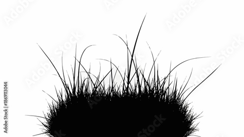 Silhouette of fresh green grass blades against a white background.