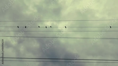 Birds on Power Lines Against Cloudy Sky.