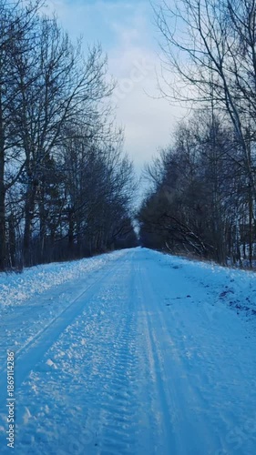 P.O.V. - Driving in a winter forest on a road. Winter landscape, driving forward in a car. vertical. snow covered trees in winter