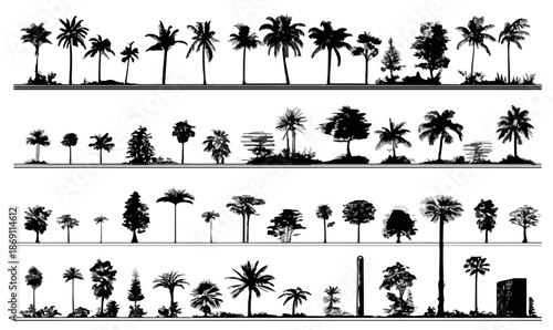 조경 및 건축 디자인에 이상적인 다양한 종류의 나무 실루엣 벡터 컬렉션으로, 야자수와 열대 식물이 포함된 투명한 그래픽 자원입니다.