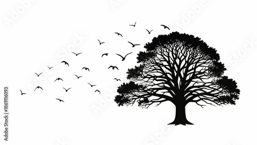 Silhouette of a large tree with birds flying away from it.