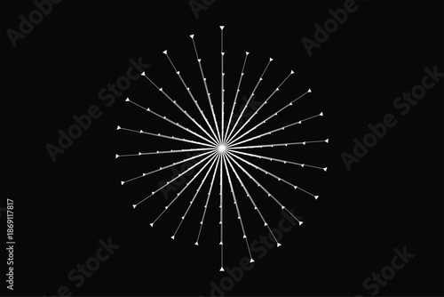 fireworks on the black background