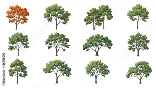 Diverse collection of stylized deciduous and evergreen trees, showcasing various shapes and foliage colors for nature-themed design projects