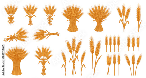 Wheat or barley ears. Harvest wheat grain, growth rice stalk and bread grains isolated vector set. Harvest wheat grain, growth rice stalk and whole bread grains. Agriculture. Transparent SVG version.