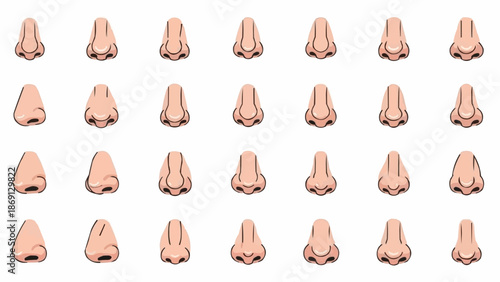 Collection of diverse human nose shapes and sizes illustration.