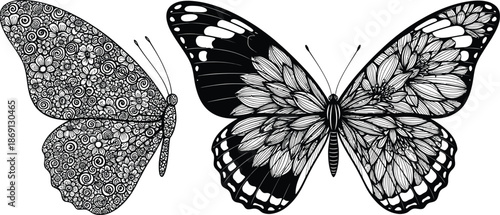 Black and white illustration of a butterfly and its shadow