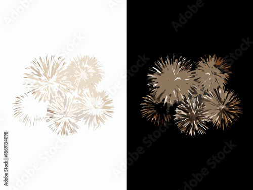 A split composition depicting fluffy dandelions in light and dark contrast