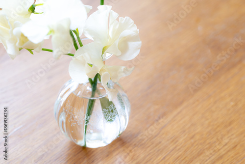 花,スイートピー,門出,成人式,インテリア