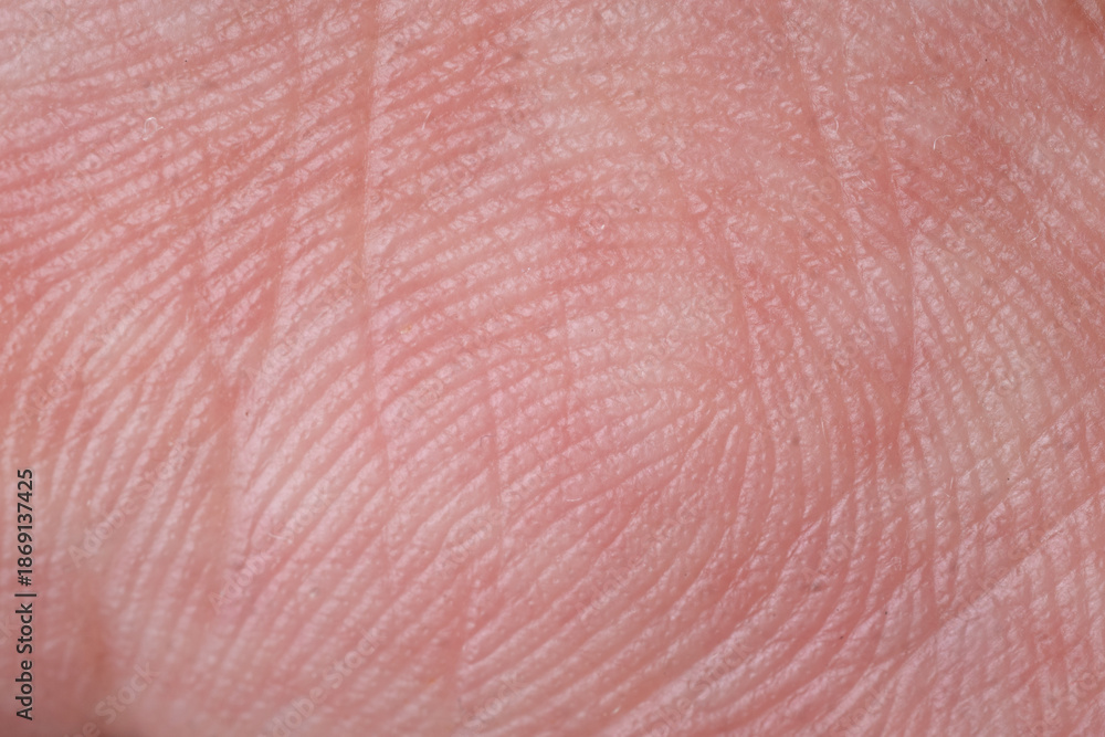 Fototapeta premium Extreme macro shot of human skin texture and fingerprint ridges. Abstract pinkish background for security and identity concepts. 