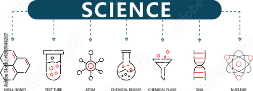 Science Infographic Chemistry and Biology Icons for Atom, DNA, Test Tube, and Lab Equipment in Educational and Presentation Design