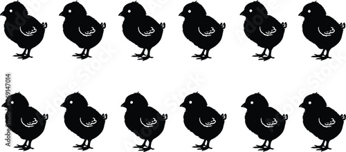 Black chick silhouettes pattern, cute baby chicken illustration, farm animal icon set, minimal vector design, repeating poultry background art