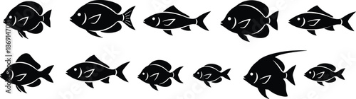 Black fish silhouettes, graphic marine icons, stylized aquatic shapes, diverse fish designs, vector sea creatures, minimalist underwater animal illustrations