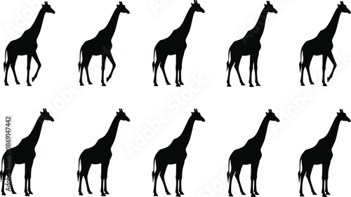 Giraffe silhouette pattern, black animal shapes, wildlife design, educational visual, minimalist art, zoo theme, nature icon, graphic repetition