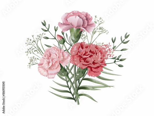 A delicate watercolor illustration of pink and red carnation flower bouquet
