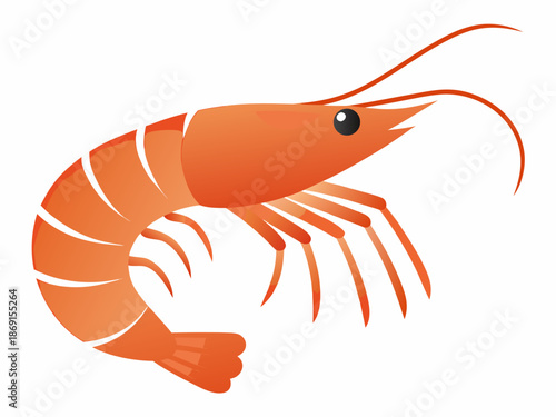 A vibrant orange shrimp illustration showcasing its curved body and long antennae