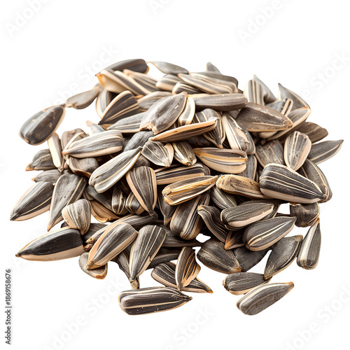 sunflower seed background