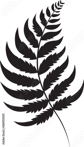 Print Black and white botanical fern leaf silhouette illustration