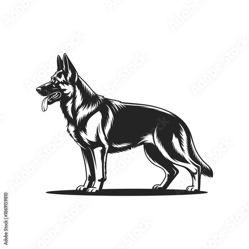Detailed German Shepherd Silhouette Illustration Vector Art in Black Ink Style A Striking Depiction of a Loyal Canine Companion in Vector Format
