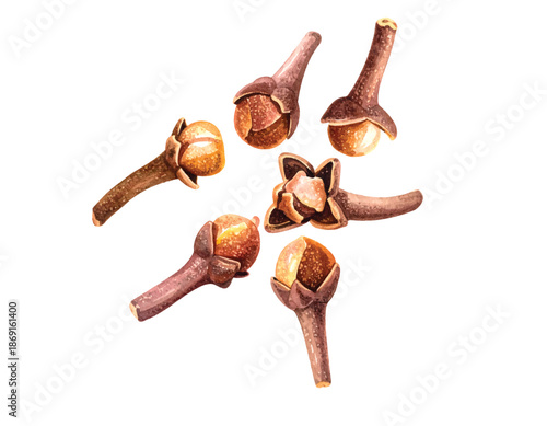 Close-up Watercolor Illustration of Five Dried Cloves on White vector illutrastion transparent background