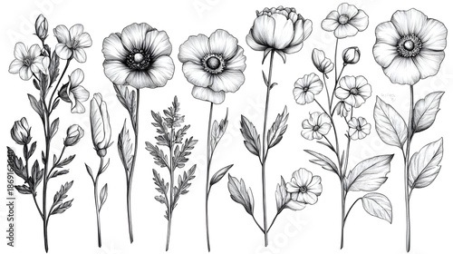 This image is a black and white line drawing of various flowers and floral elements. The drawings are simple, stylized, and appear to be hand-drawn, resembling doodles or sketches. Generated Ai