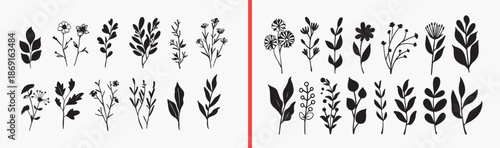 botanical flower illustration, floral leaf sketches, hand drawn plant art, wildflower line drawings, nature botanical vector, floral clipart pack, plant illustration set, botanical design elements, fl