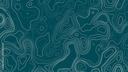 Abstract Geometric Vector Illustration of Wavy Black and White Contour Line Topographic Design. 