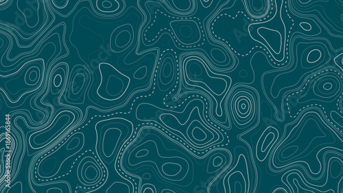 Abstract topography a seamless flow of organic topographic map the concept of a conditional geography scheme and the terrain path topo contour map design.