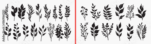 botanical plant illustration, wild herb line art, floral stem drawings, nature plant sketches, hand drawn foliage set, meadow plant illustration, botanical clipart pack, floral line art collection, pl