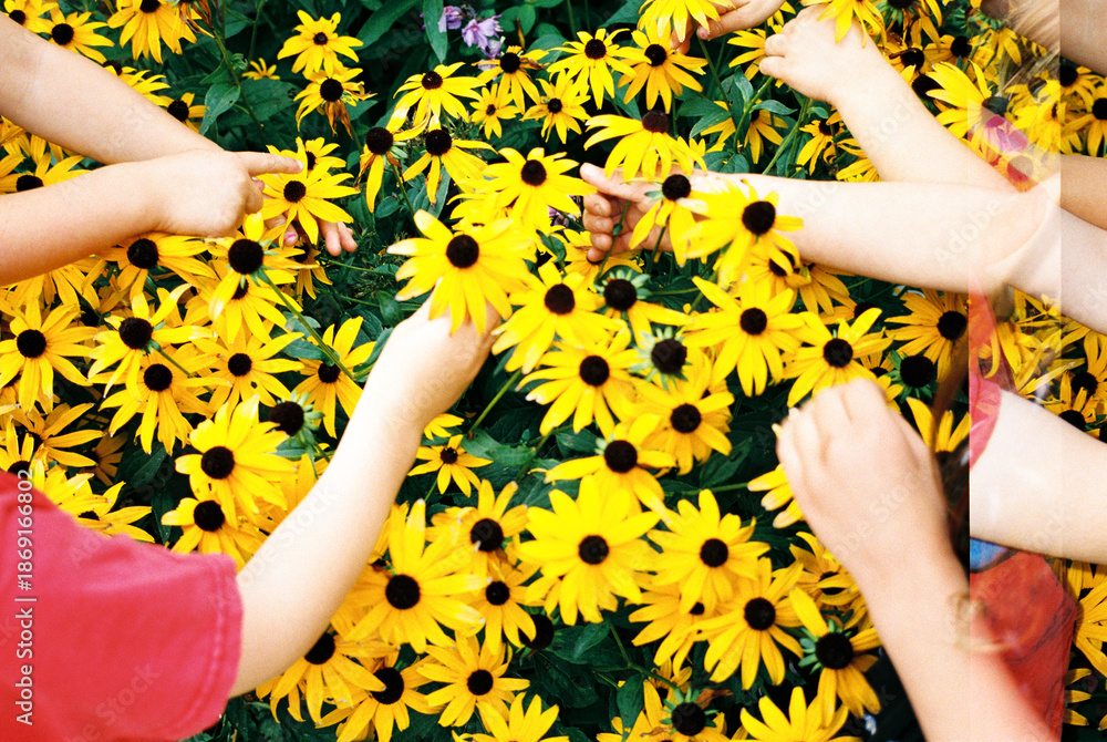 © Cara Dolan/Stocksy - Hands of children reaching for flowers