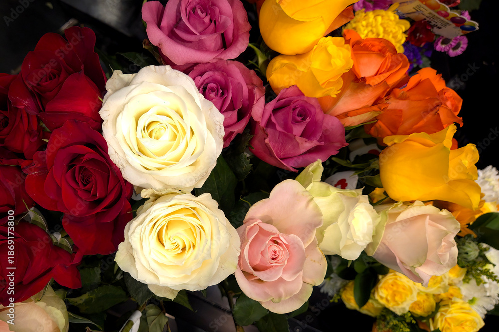 Naklejka premium bouquet of roses